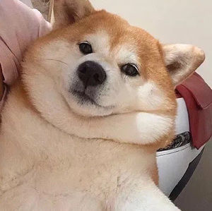 Meet your Posher, Tian